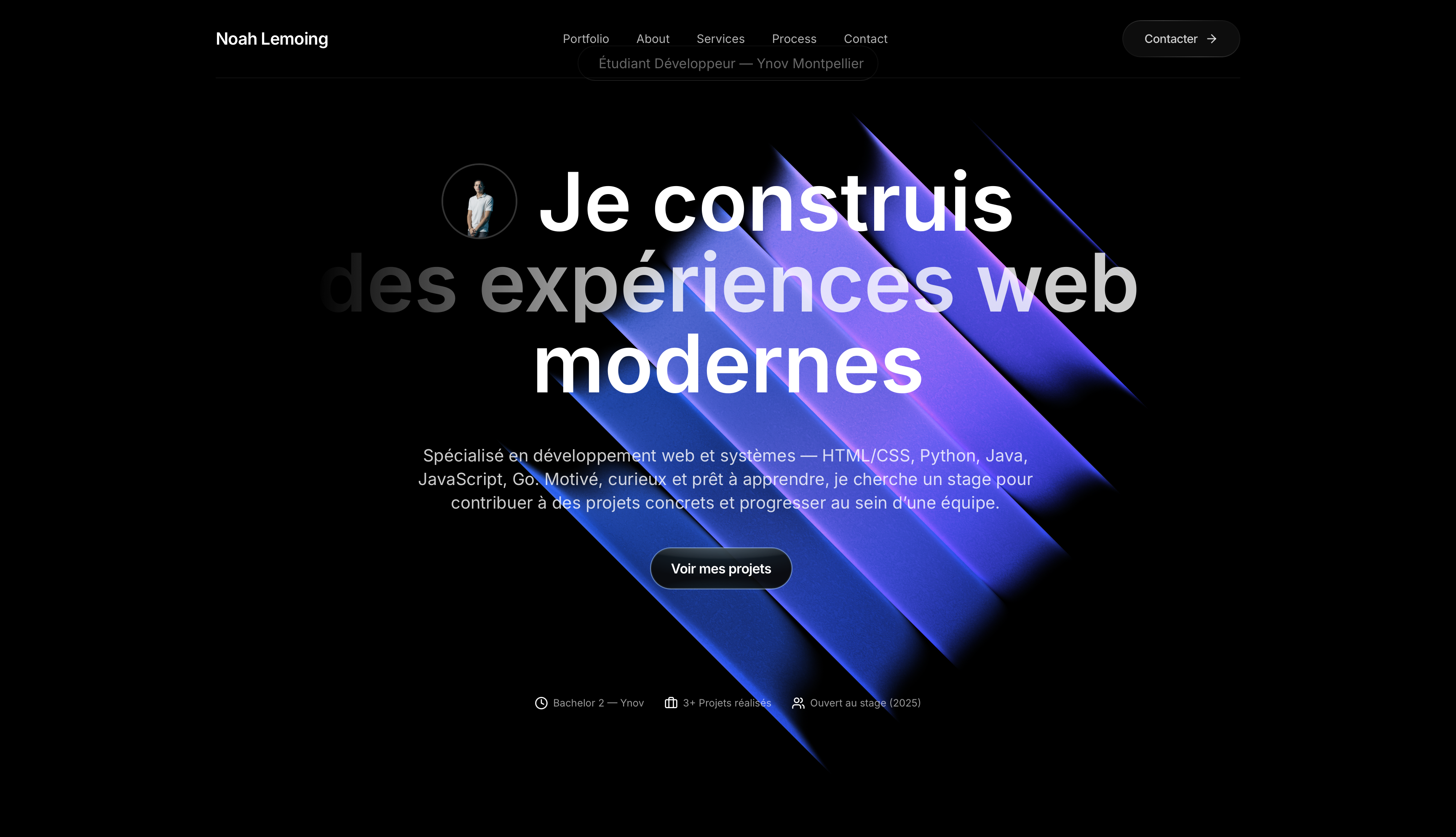 Aperçu du portfolio Noah Lemoing